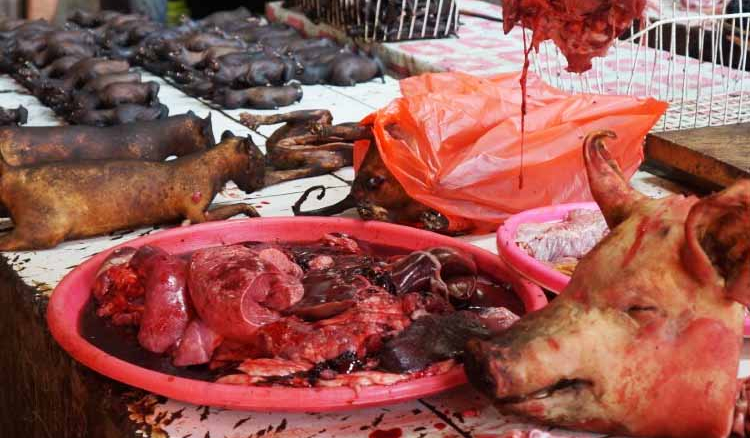 APPETITE FOR DESTRUCTION?TOMOHON MARKET NIGHTMARE