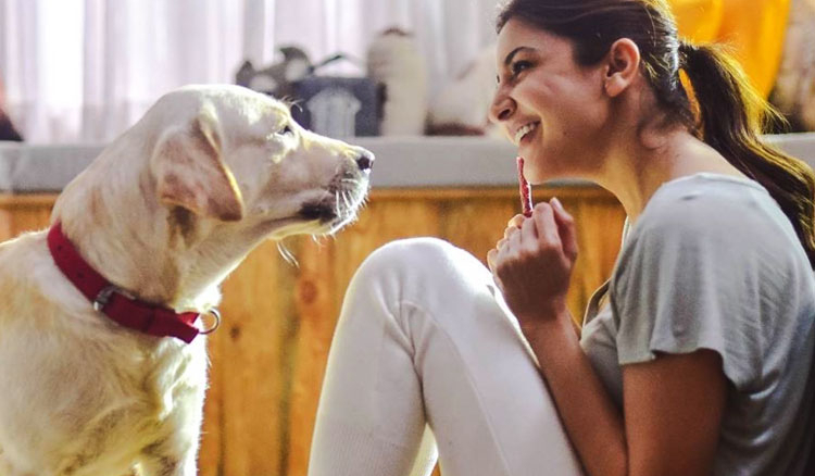 Anushka Sharma to Set Up Veterinary Hospital