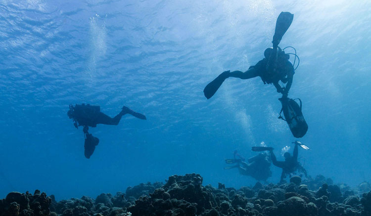 World’s largest underwater clean-up