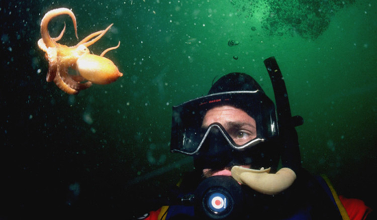 Woman Poses with Octopus on Face, Ends Up in Hospital