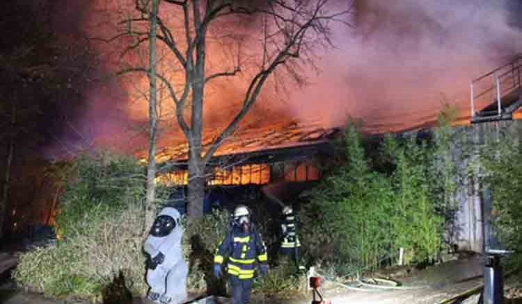 Sky lanterns set zoo on fire