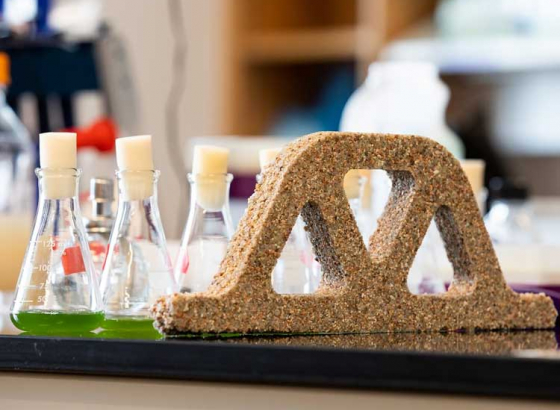 Scientists create living concrete using bacteria