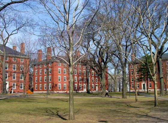 Harvard, Yale faces federal investigation over foreign funding