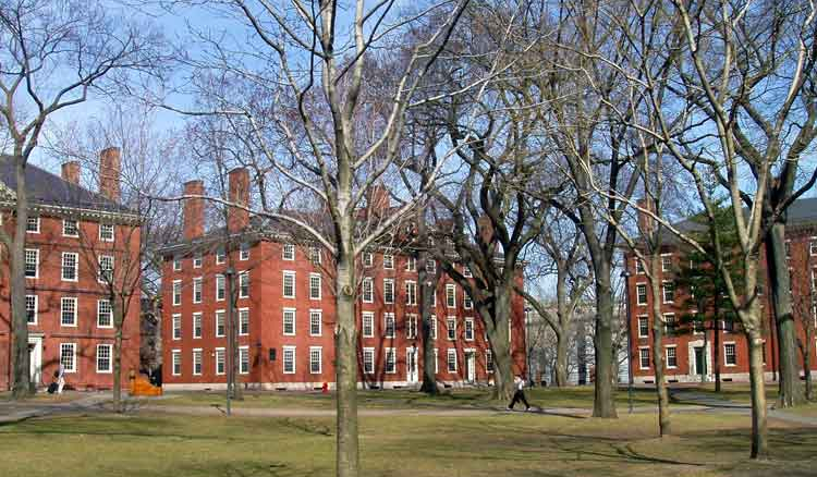 Harvard, Yale faces federal investigation over foreign funding