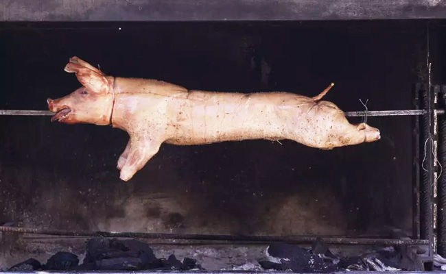 pork-meat